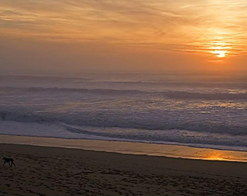 Maison Neuve Avec Piscine Chauffee, 4 Kms De Contis Plage Saint-Julien-en-Born Ngoại thất bức ảnh