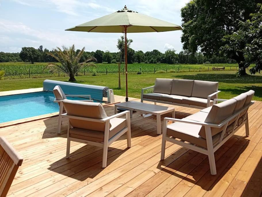 Maison Neuve Avec Piscine Chauffee, 4 Kms De Contis Plage Saint-Julien-en-Born Ngoại thất bức ảnh
